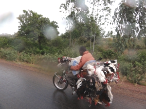 Ouaga