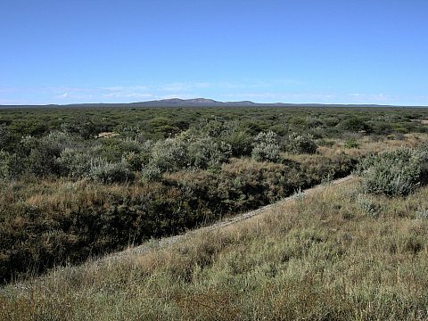 dscn0373.jpg