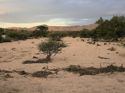 dscn0406.jpg