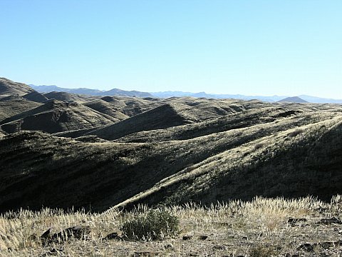 dscn0441.jpg