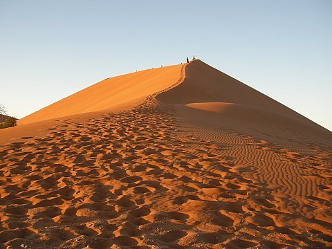dscn0453.jpg