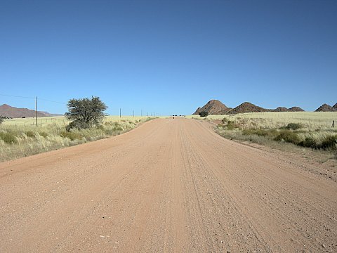 dscn0471.jpg