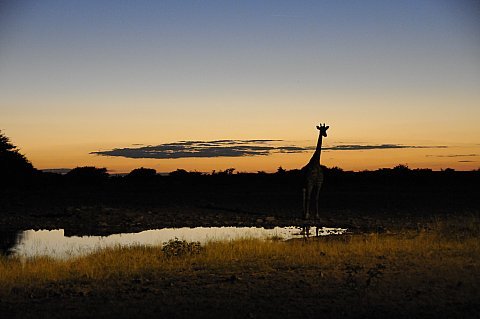 namibie2009418.jpg