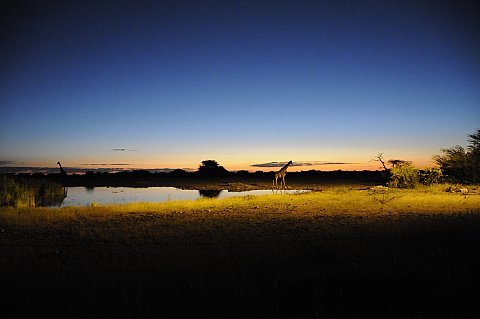 namibie2009421.jpg