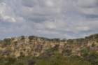 namibie2009448_small.jpg