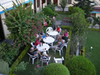 de tuin