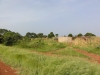 DSC00711