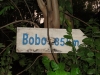 DSC00733