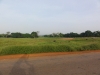 DSC00740