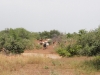 DSC00831