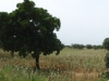 DSC00840