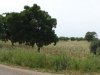DSC00841