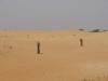 DSC00942