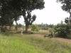 DSC00950