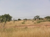 DSC00952