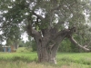 DSC00970