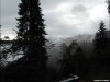 DSCN0896