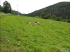 DSCN0907