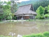 _JAP3071