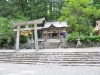 _JAP3078