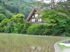 _JAP3095