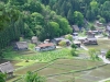 _JAP3105