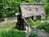 _JAP3141