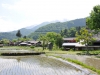 _JAP3199