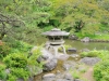 _JAP3568
