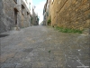 DSCN1033
