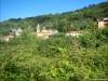 DSCN1180