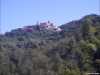 DSCN1183