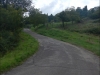 DSCN1320